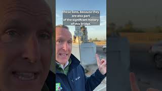 What happens to Modesto lions as bridge demolition begins?