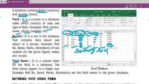 Class 7 Computer | Chapter 3 - Excel as Database | Full Chapter explained | Part 2