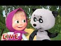 Masha and the Bear 🎬💥 LIVE STREAM 💥🎬 All episodes for kids 👶 Cartoon live best episodes