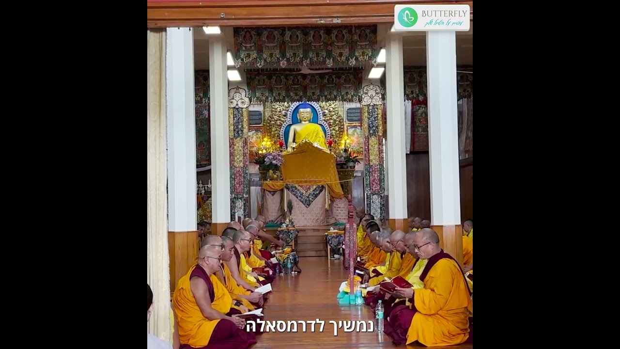 טיול מאורגן לצפון הודו - בטרפליי טורס טיולי תוכן ואיכות | ארוך