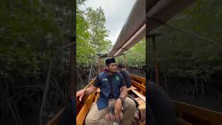 Mangrove Pulau Mengkada #shorts