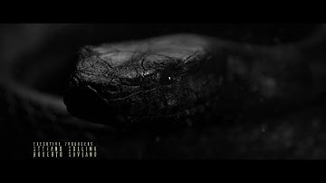 ZeroZeroZero - TV Series Intro