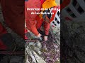 Destrepe en la Cresta de las Buitreras #escalada #montaña