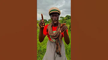 AH BUT YES YES TO THE NEW CONSTITUTION OF GUINEA Comedy France POPOSO 