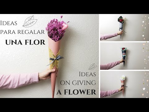 Video: Cómo Regalar Una Rosa En