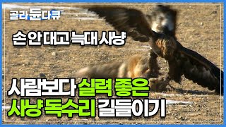 늑대에 의해 죽어 간 가축들, 더 이상의 피해를 막기 위해 유명한 검독수리 사냥꾼 집을 찾아갔다│몽골 유목민│#다큐프라임│#골라듄다큐