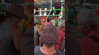 Povo Dança o Batuque do Samba Rural 4