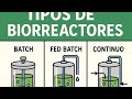 Tipos de Biorreactores para bioinsumos