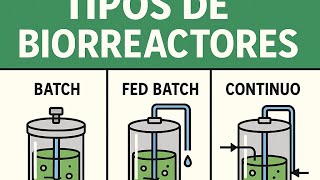 Tipos de Biorreactores para bioinsumos