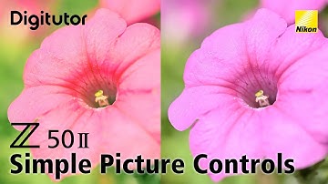 Z50II #3 Simple Picture Controls | Nikon Digitutor