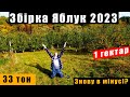 СЕЗОН ЯБЛУК 2023🔥ЯКИЙ МОЖЛИВИЙ ЗАРОБІТОК?