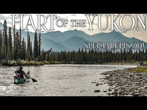 Hart of the YUKON - 14 Days Solo Camping in the Yukon Wilderness - Special Episode