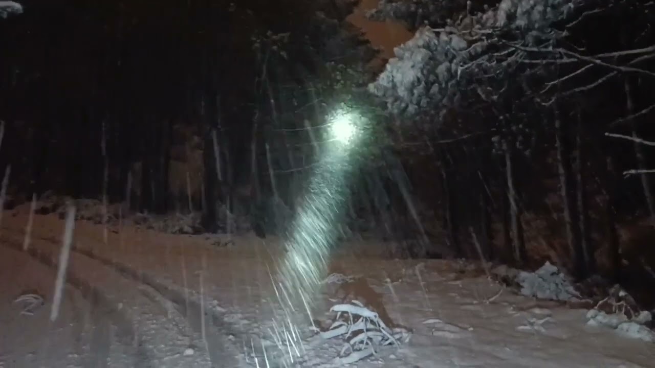Lanetli ormana  yoğun kar tipide çıktım 😱