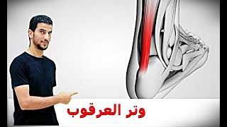 ٣ تمارين فقط للتخلص من التهاب والم وتر اكيلس وتر العرقوب | علاج الام وتر الكعب . achilles tendon