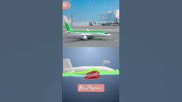 Dynamic Life ,Bernoulli