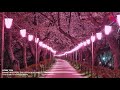 Lovin' You by Rose Landicho