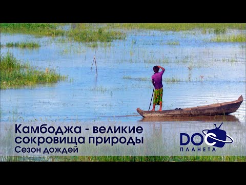Камбоджа - Великие Сокровища Природы - Фильм 2. Сезон дождей - Документальный фильм
