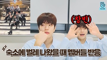 [스트레이키즈/승민] 숙소에 벌레 나왔을 때 스키즈 멤버별 반응 - 브이앱 VLIVE