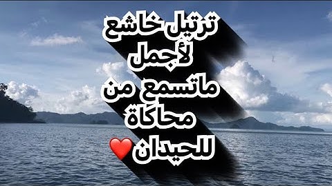 ليلة رمضانية مميزة من سورة آلأنعام من أجمل ماتسمع من محاكاة للحيدان من القارئ عبدالرحمن ناجي