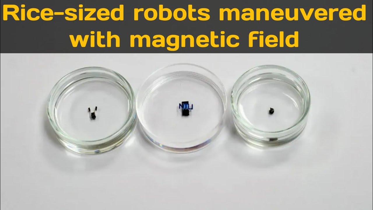 Rice-sized robots maneuvered with magnetic fields.