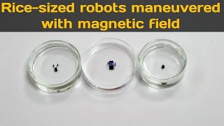 Rice-sized robots maneuvered with magnetic fields.#Robotics#NIT#singapore screenshot 3