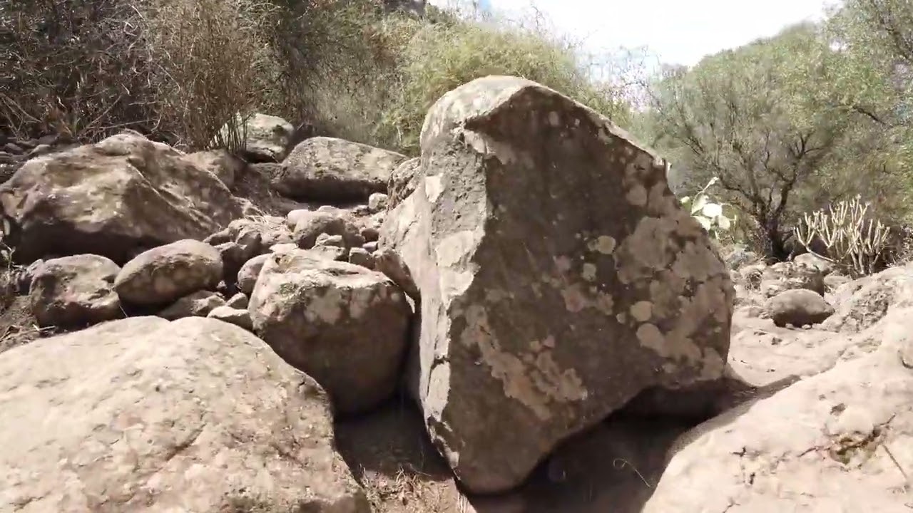 WalkingGC - Gran Canaria - Walking Barranco de los Cernícalos - 2.7 k - 60fps