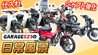 【最新版】GARAGE521の日常風景