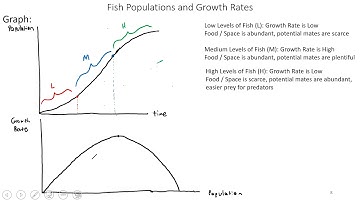 ECON143 S20 Chapter7 Part1