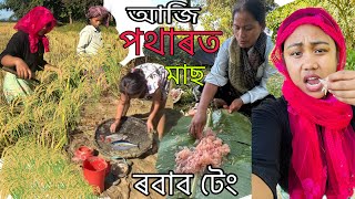 আজি ৰাতি পুৱাই পথাৰ আহিলোঁ🌾॥SUMI PEGU ❤️