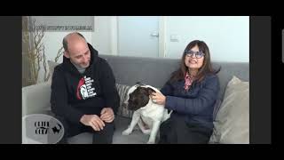 Allevamento Staffordshire bull terrier cosa sapere intervista sulla razza .