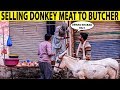 Selling Donkey Meat in Lahore | Gadha Ka Gosht Bechna | Lahori PrankStar