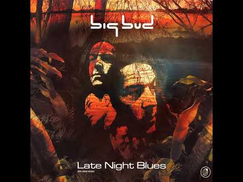 big bud - late night blues - return of the spiritman