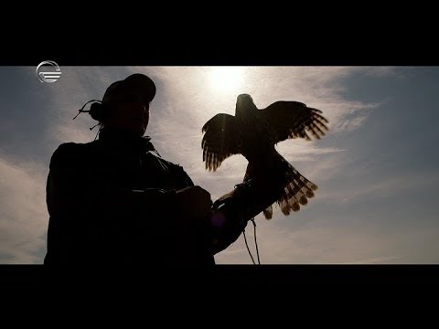 საუკუნის ელფერი - 24 მაისი, 2020 წელი | ბაზიერი