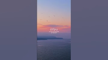 تلاوة خاشعة من سورة النحل بصوت ياسر الدوسري #قران #أرح_نفسك4u #قران_كريم #🤲🏻#راحة_نفسية_للقلب🤲📿💕 #