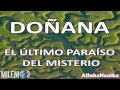 Milenio 3 - Doñana: El último paraíso del misterio