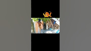 Jamaica 🇯🇲 comedy show #shortsfeed #shorts #viral #shortsvideo #fifa #fifaworldcup #fyp #rasta