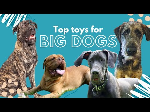 Canine Enrichment, Dog Toys for Large & Giant Breeds