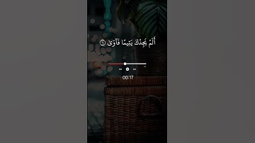 والضحى وليل إذا سجى 🥀تلاوة مؤثرة حالات_واتس أب دينية مؤثرة