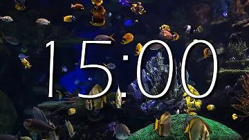 Aquarium - 15 MINUTE TIMER Sea Animals With Relaxing Music