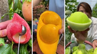 Farm Fresh Ninja Fruit Cutting | Oddly Satisfying Fruit Ninja #22