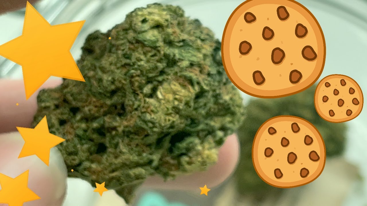 Biscotti Strain Review YouTube
