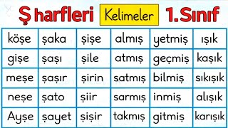 1.Sınıf okuma yazma çalışması/ş harfleri/ Okuma yazma öğreniyorum/okuma yazma📚/Ş Harfi Kelimeleri