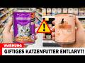 WARNUNG: 10 Nassfutter für Katzen sollten Sie UNBEDINGT meiden – 3 sind sicher