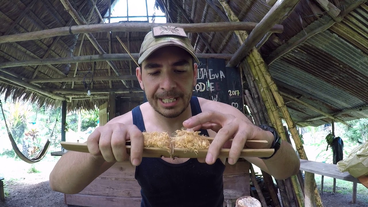 Bamboo Fire Saw / Fuego Con Bamboo Costa Rica Survival YouTube