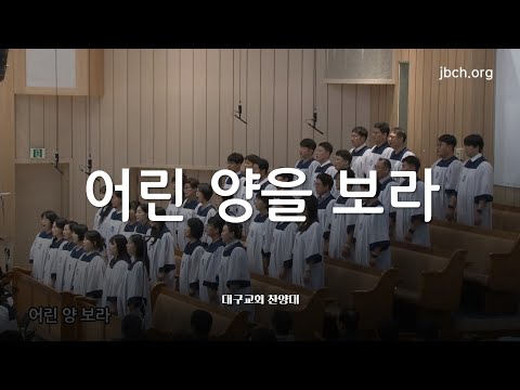 어린 양을 보라 대구교회 주일찬양 250713