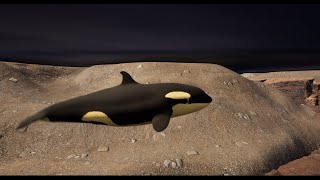 Growing Up Orca