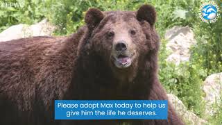 ADOPT MAX TODAY!