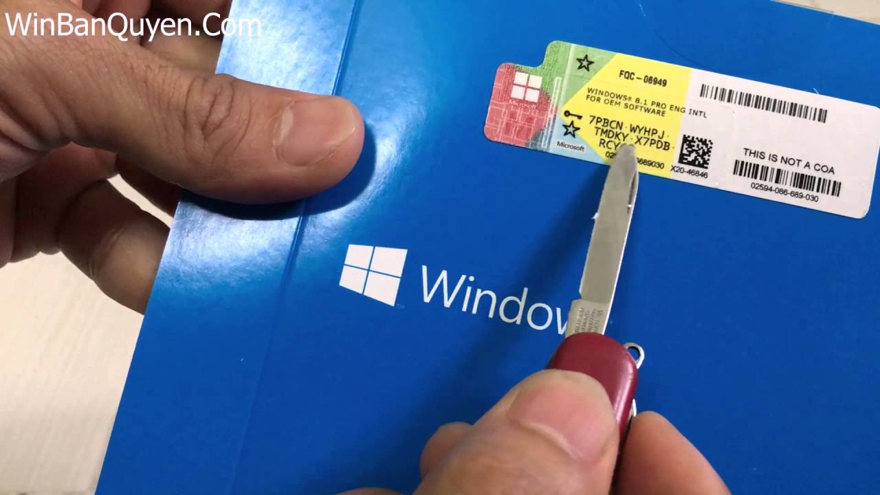 Oem ключи 10. Наклейка Windows 10 Pro OEM. Windows 10 Pro OEM Key. Лицензия Windows 10. Наклейка Windows 10.