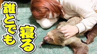 どんな動物とも一緒に寝てしまう動物お姉さん。僕はなぜ・・・