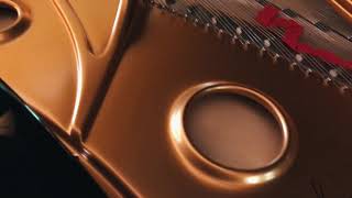 Tony Schemmer - A Toney Tango excerpt